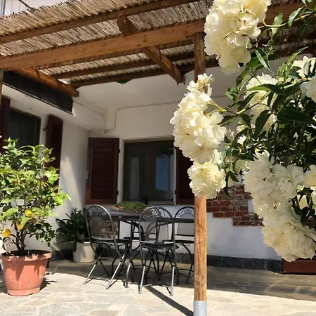Cascinatettassi * Foresto