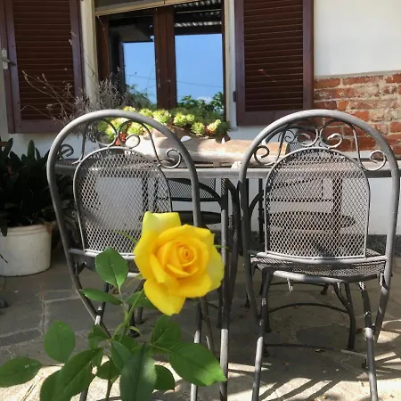 Cascinatettassi * Foresto