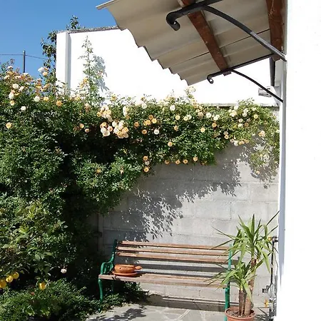 Cascinatettassi